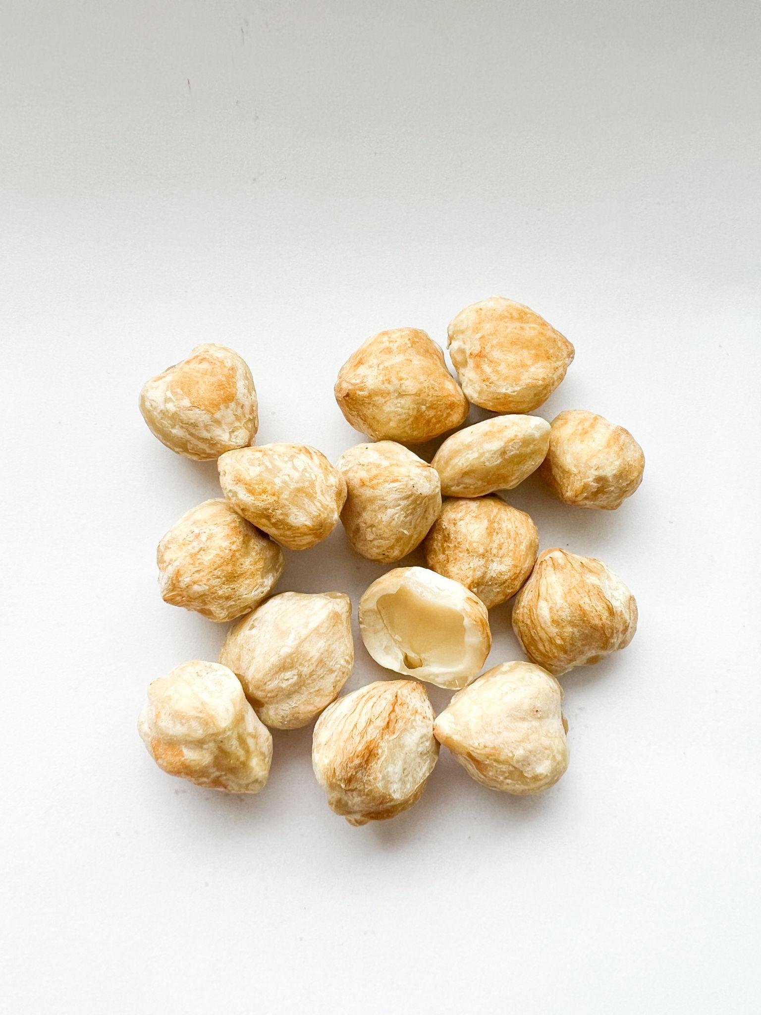 Candlenut Exporter Indonesia