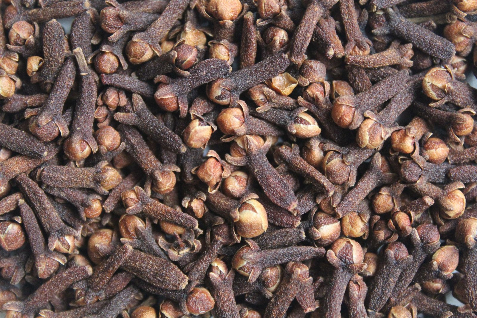 Cloves Exporter Indonesia