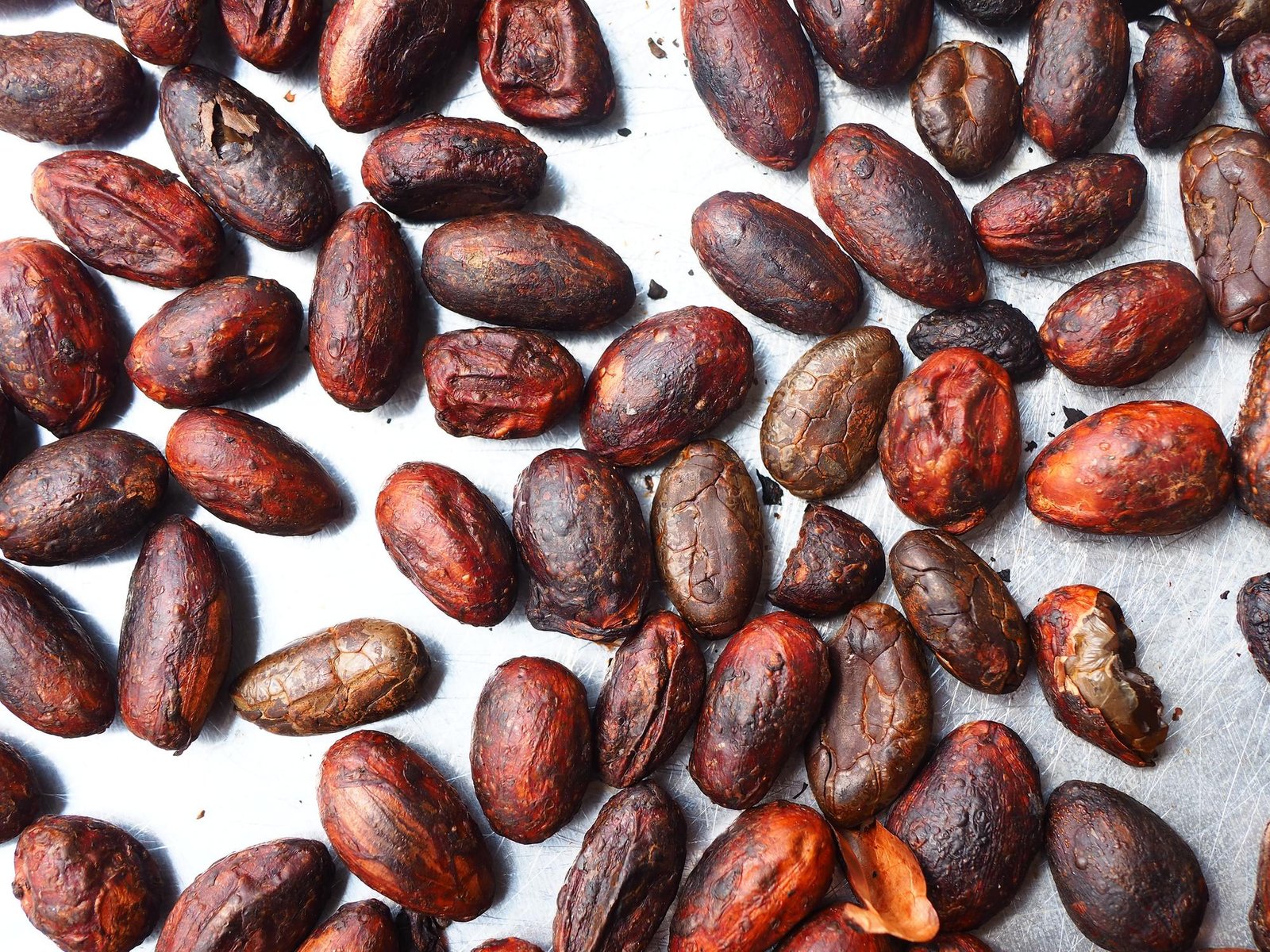 Cocoa Beans Exporter Indonesia