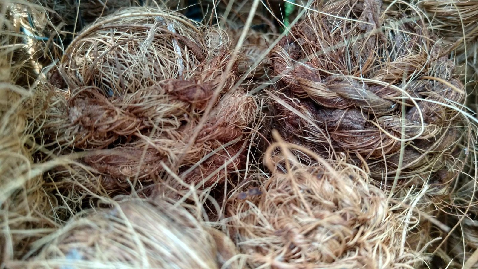 Coconut Fiber Coir Supplier