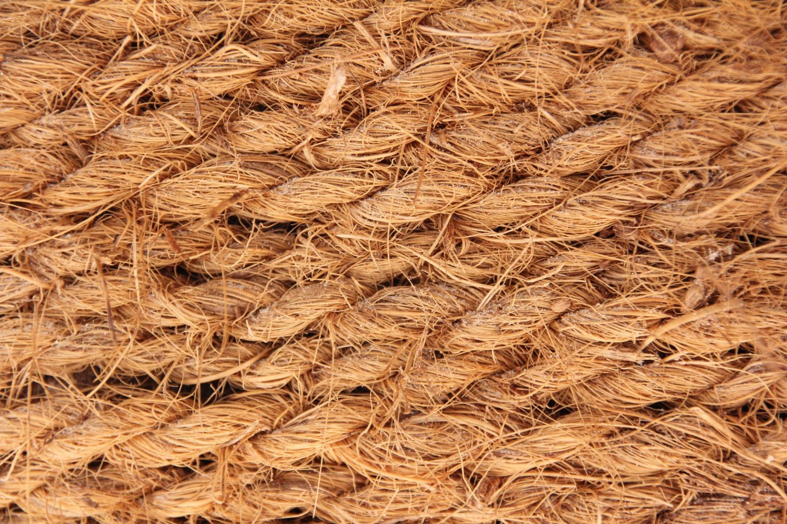 Coconut Rope Supplier Indonesia