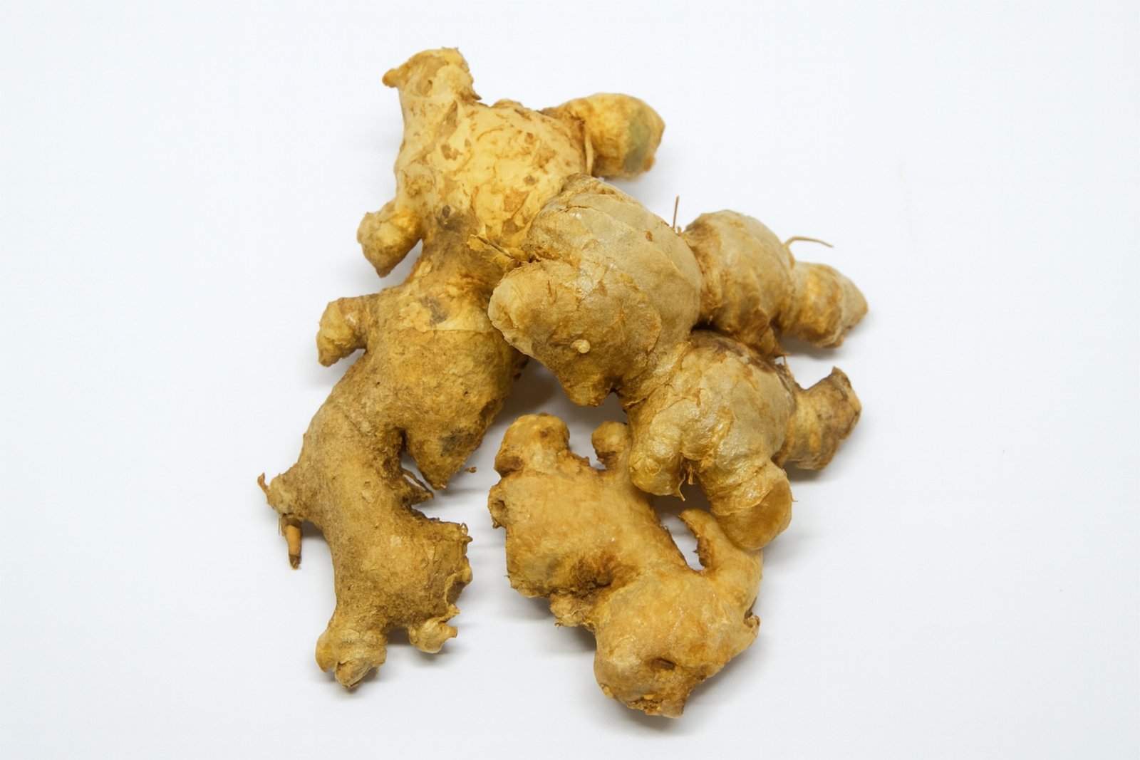 Ginger Exporter Indonesia