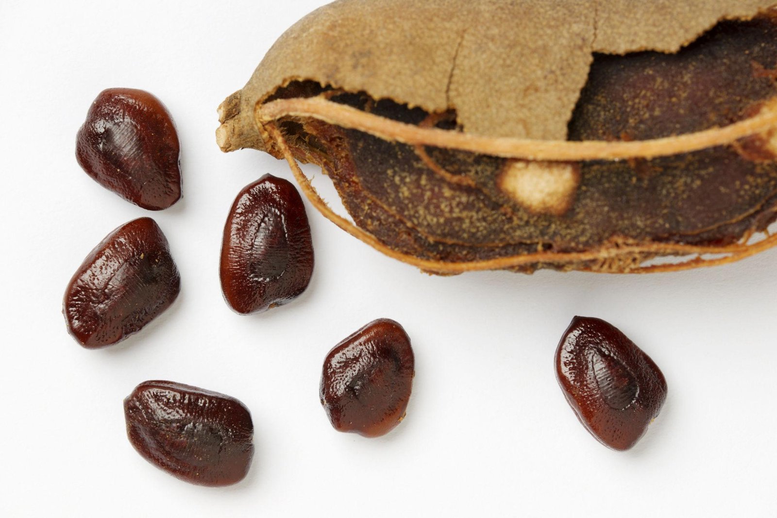 Indonesia Export Supplier for Philippines