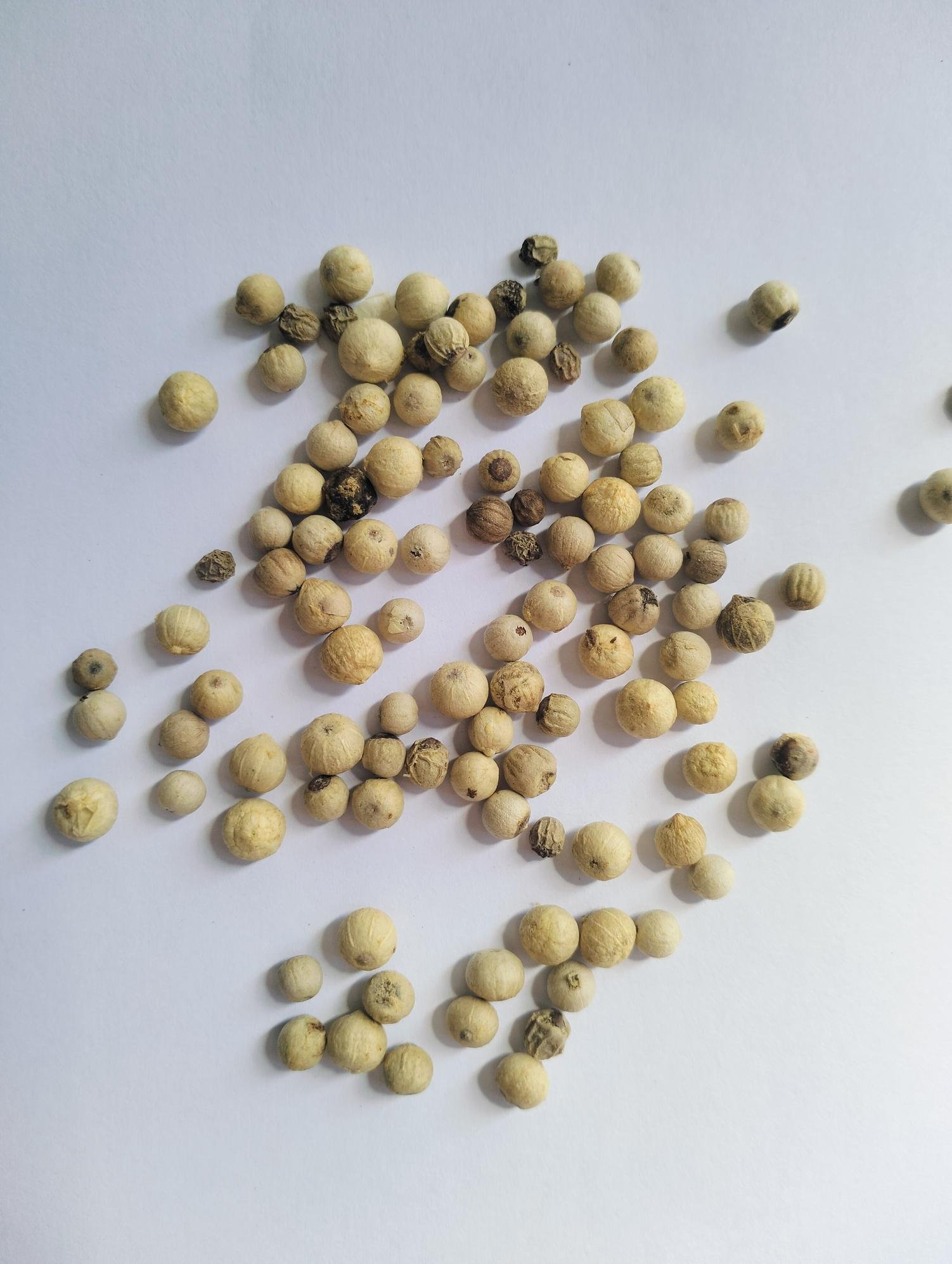 White Pepper Supplier Indonesia